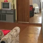 1 комнатная просторная квартира в центре посуточно, парковка