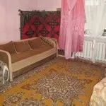 квартира на пол года