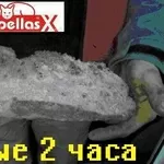 Pellas пеллетные горелки для котлов