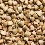 Зерно гречки від виробника