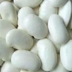 Квасоля в асортименті. Постачання гуртом