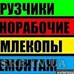 Выполним услуги уборки территорий, уборка участка, спил Одесса