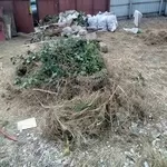 Уборка территории , вывоз мусора, демонтаж , разнорабочие покос Одесса