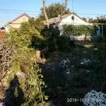 Спилим обрежем деревья,  удалим поросли