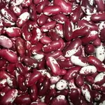 Квасоля на продаж. Відбірні,  перевірені сорти