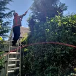 Садовник,  обрезка сада,  садовых деревьев,  уход за садом Одеса