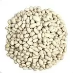 Закуповуємо квасолю оптом на консервування