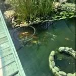 ОТЛИЧНЫЙ ДОМ БЛИЖНИЙ ПРИГОРОД АЛЕКСАНДРОВКА ЧЕРНОМОРСК