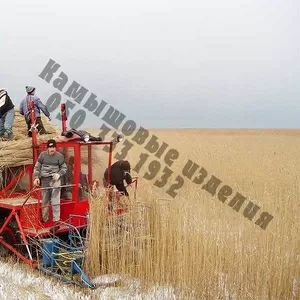 Возьму в аренду комбайн для выкоса камыша.