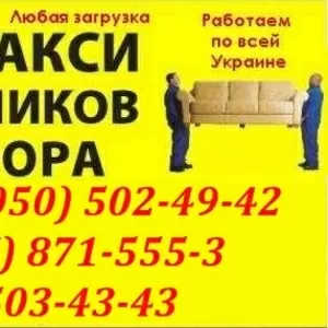 Грузовые перевозки Кирпича в Одессе. Перевозка кирпичей в Одессе.