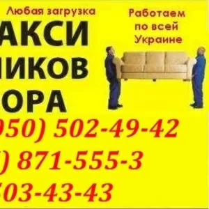 перевозка Груза из порта одесса. перевозки любых грузов Порт Ильичевск