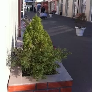 Сдам магазин