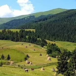 Оздоровительный курс в Карпатах 20-26 Августа,  Отдых и лечение