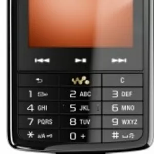  Sony Ericsson W960 (смартфон)