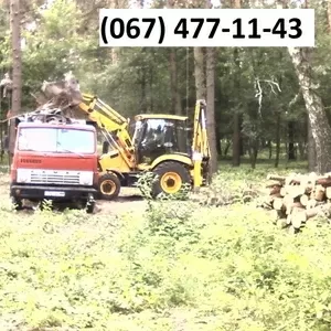 Удаление деревьев,  спил деревьев Одесса.  Обрезка веток Одесса. 067 47