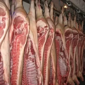 Продаю мясо свинины,  оптом. Полутуши от 28, 30 грн/кг