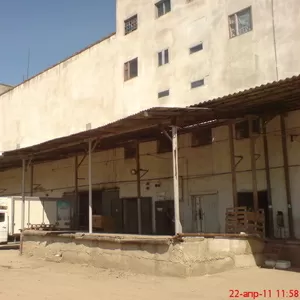 аренда холодильных  и  морозильных камер