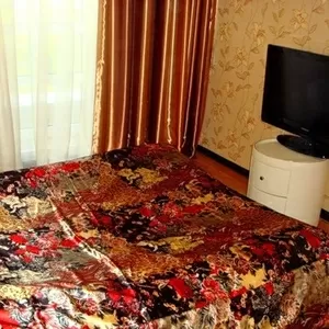 Сдам в аренду 1к.квартиру в Сигурд Холле