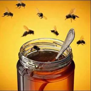 Продам натуральный мед со своей пасеки