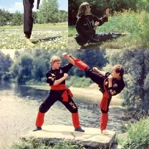 боевые искусства,  рукопашный бой