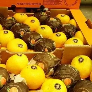 Прямые поставки лимона,  мандарина из Аргентины