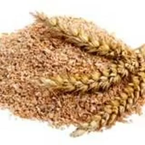 Компания TUREKS купит отруби пшеничные на экспорт.