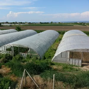 Продам действующий тепличный бизнес в Одесской обл.
