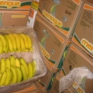 Бананы оптом.  Лучшие цены в Украине. Звоните!