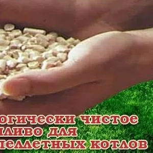 Пеллеты продаю в Одессе