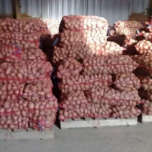 Продам картофель Одесса