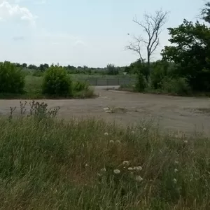 Сдам земельный участок коммерческого назначения по Киевской трассе.