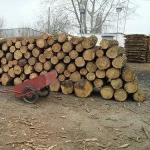 Продажа дров круглого леса (в ящиках,  сетках).