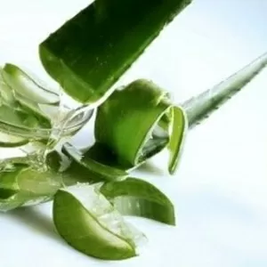 AloeVita – уникальный продукт,  лечебные свойства