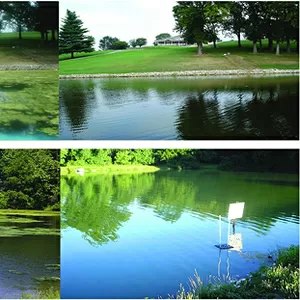 Очистка прудов и водоёмов