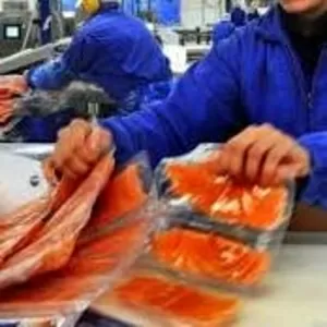 Разнорабочие на рыбзавод в Польше