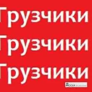 Предлагаю услуги грузчиков,  качественно и не дорого.