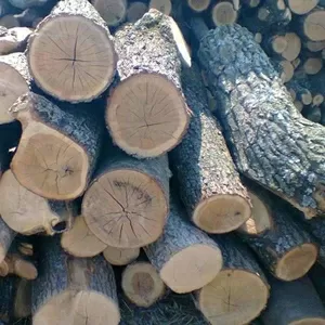 Продам дрова оптом в Одессе.