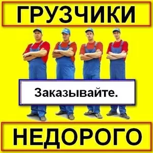 Любые погрузочно-разгрузочные работы.