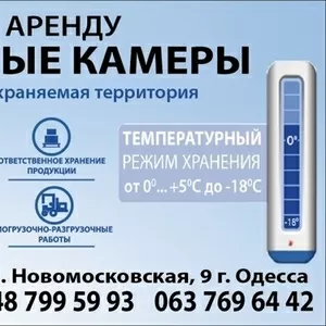  Одесский холодильник/склады и камеры  в аренду/