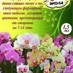 Цитокининовая паста 1.5мл.