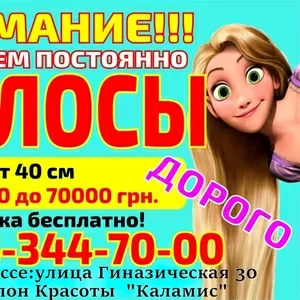 Скупка волос Одесса Продать волосы в Одессе дорого