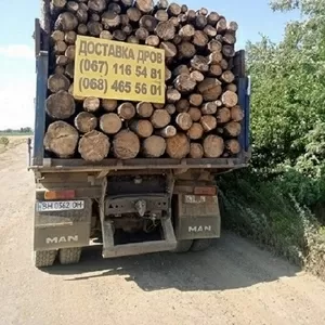 Продам дрова дубовые. 
