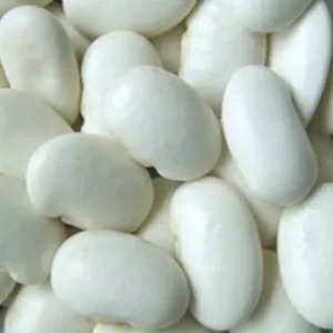 Квасоля в асортименті. Постачання гуртом