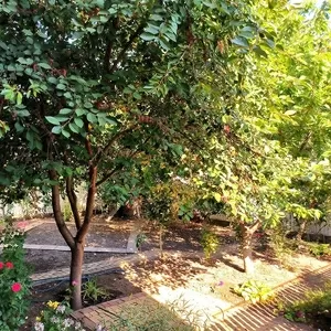 Дом на Окружной улице