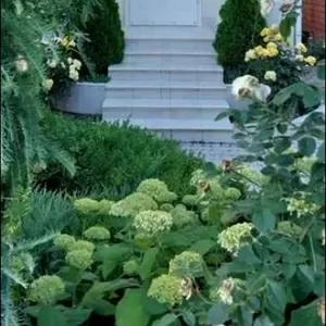 Дом на Авдеева- Черноморского у