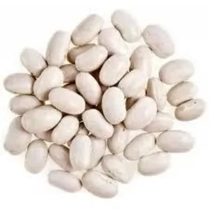 Купуємо білу,  кольорову квасолю. Самовивіз