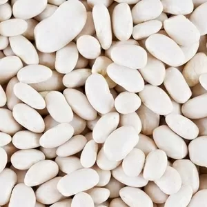 Сортова квасоля гуртом. В асортименті більше 20 сортів