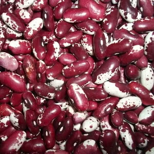 Квасоля на продаж. Відбірні,  перевірені сорти