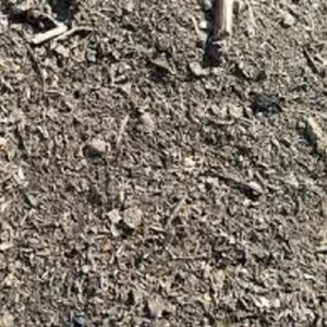 Закупаем деловой сор и отходы зерновых.