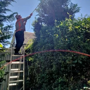 Садовник,  обрезка сада,  садовых деревьев,  уход за садом Одеса